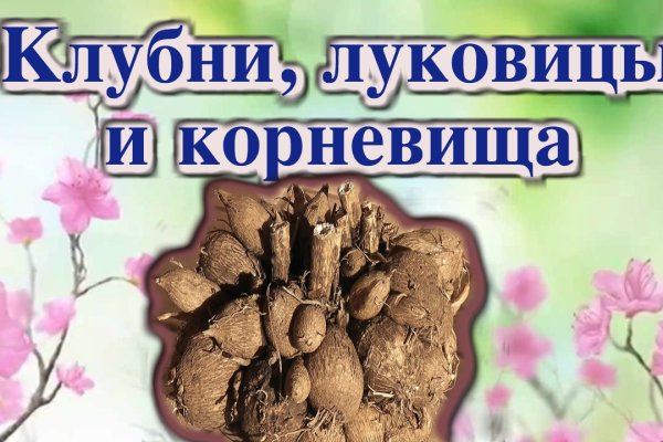 Актуальные ссылки даркнет