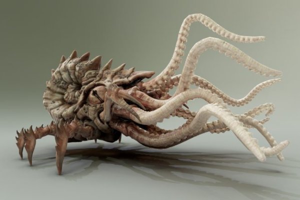 Kraken 2 at