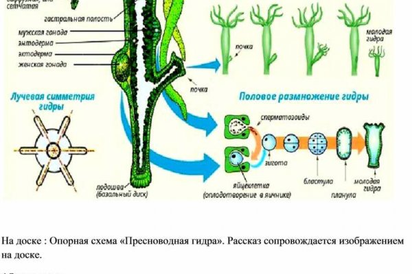 Кракен ссылка прокатис